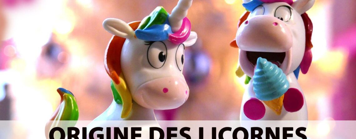 Est ce que les licornes existent ? | LICORNE FASHION