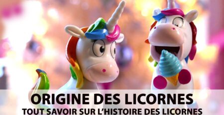 Est ce que les licornes existent ? | LICORNE FASHION